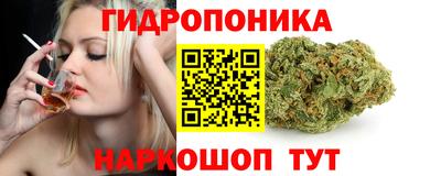 jwh Тавда